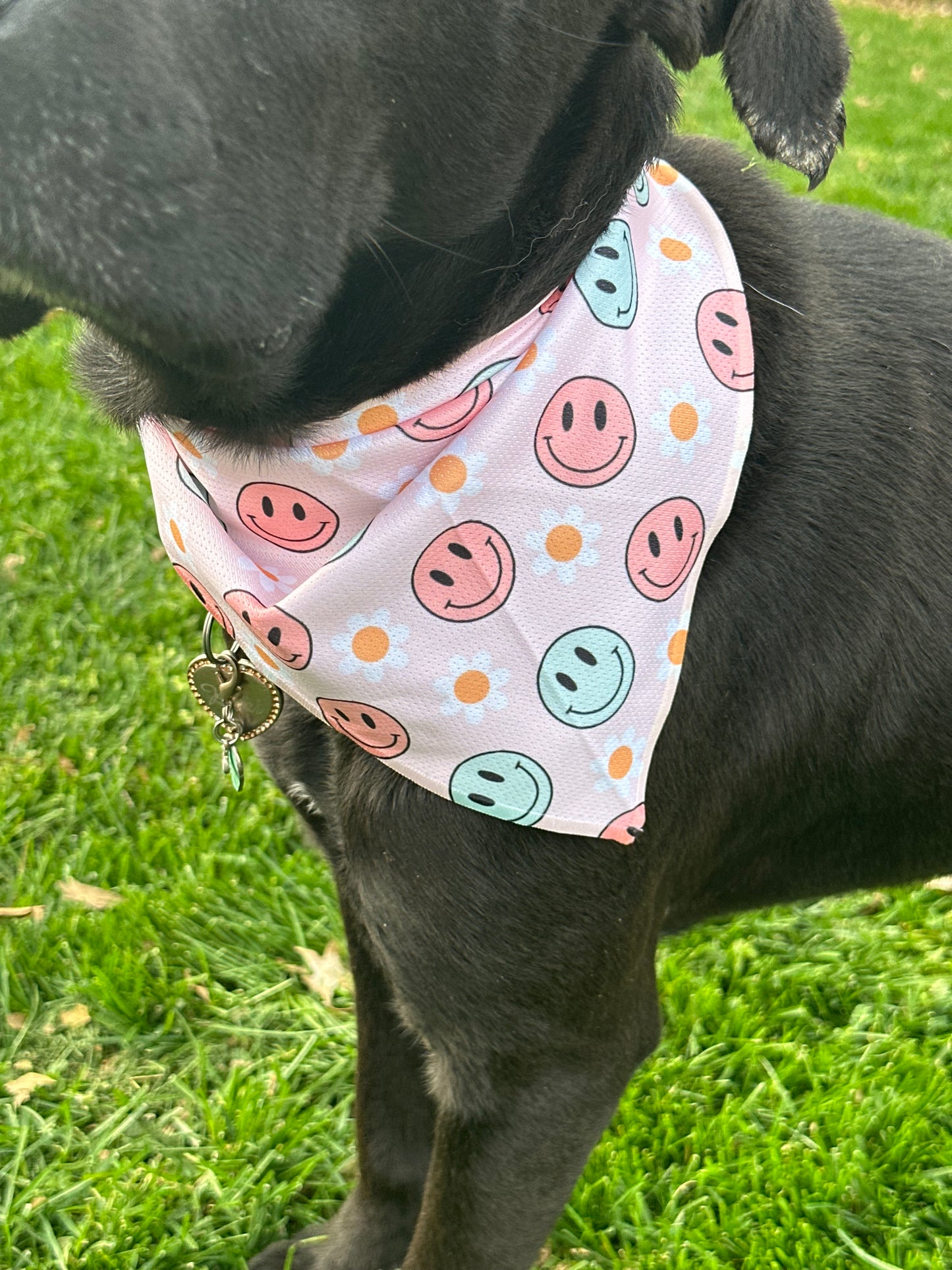 Bandanas