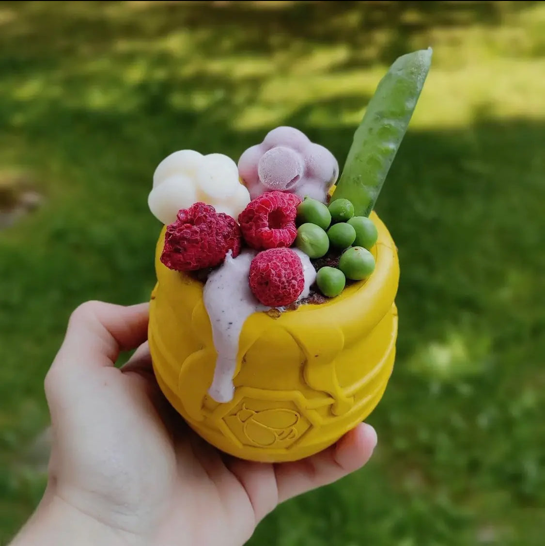 Honey Pot Chew Toy