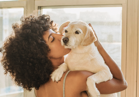 How to Read Pet Ingredient Labels