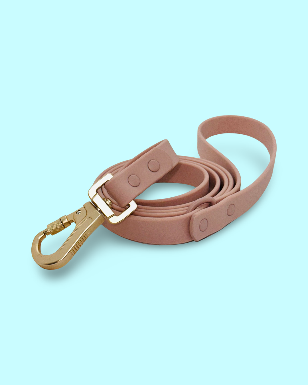 PVC Leash