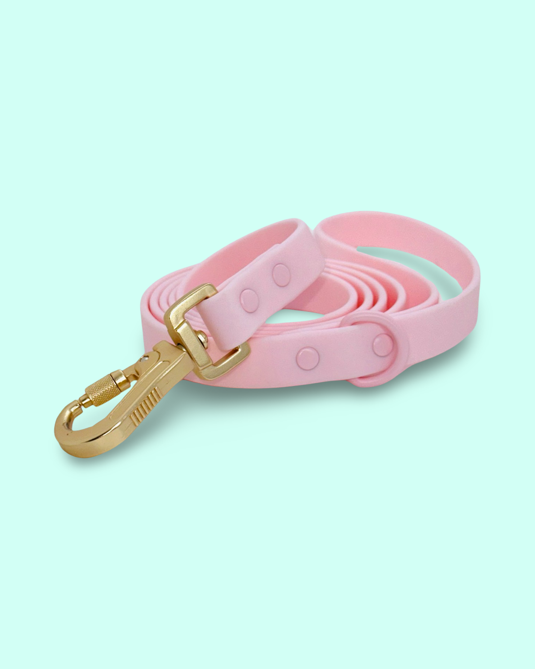 PVC Leash