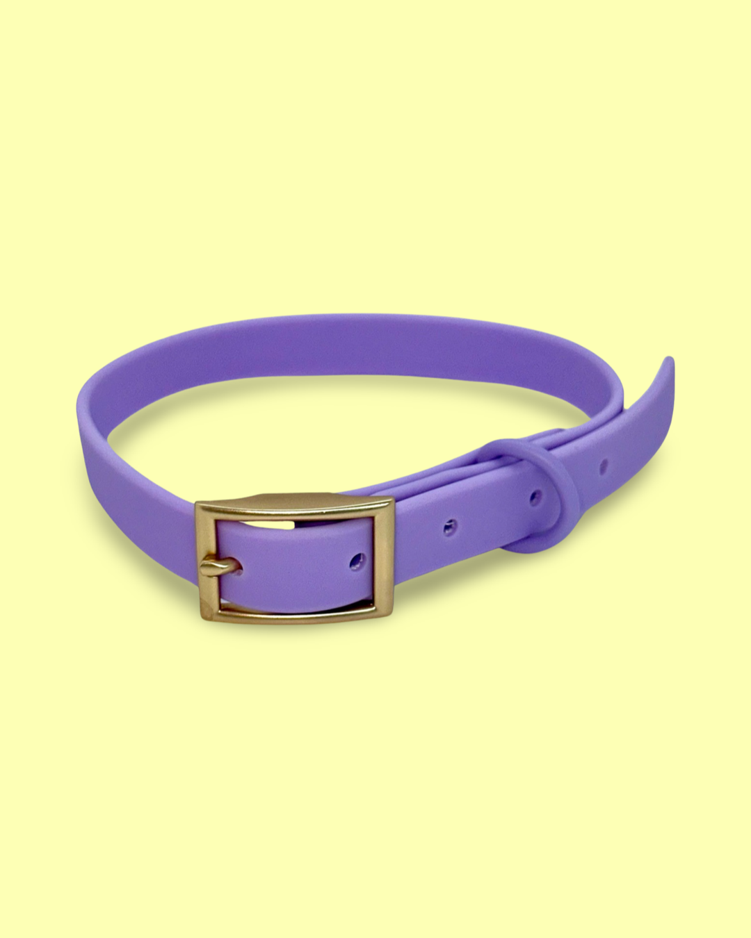 PVC Dog Collar