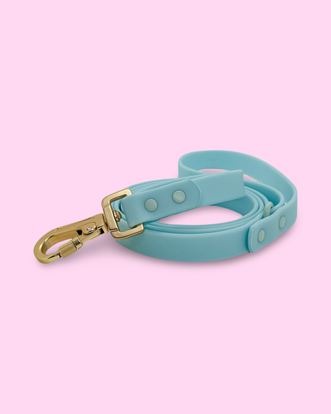 PVC Leash