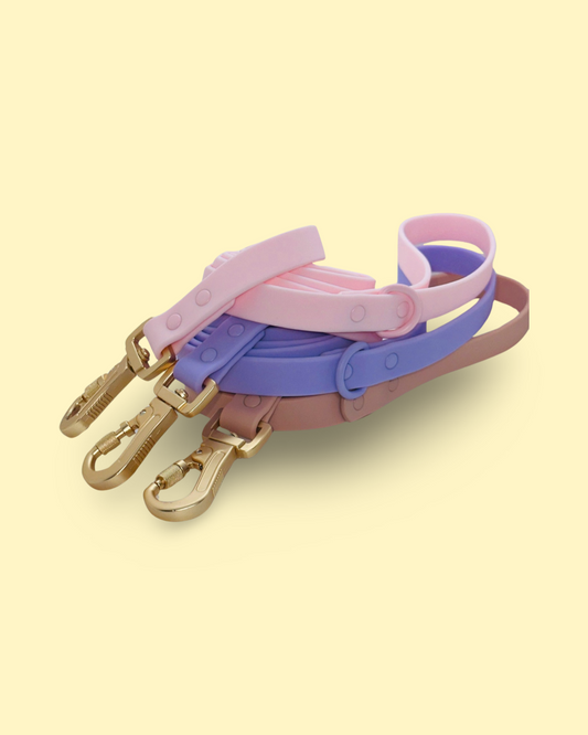 PVC Leash