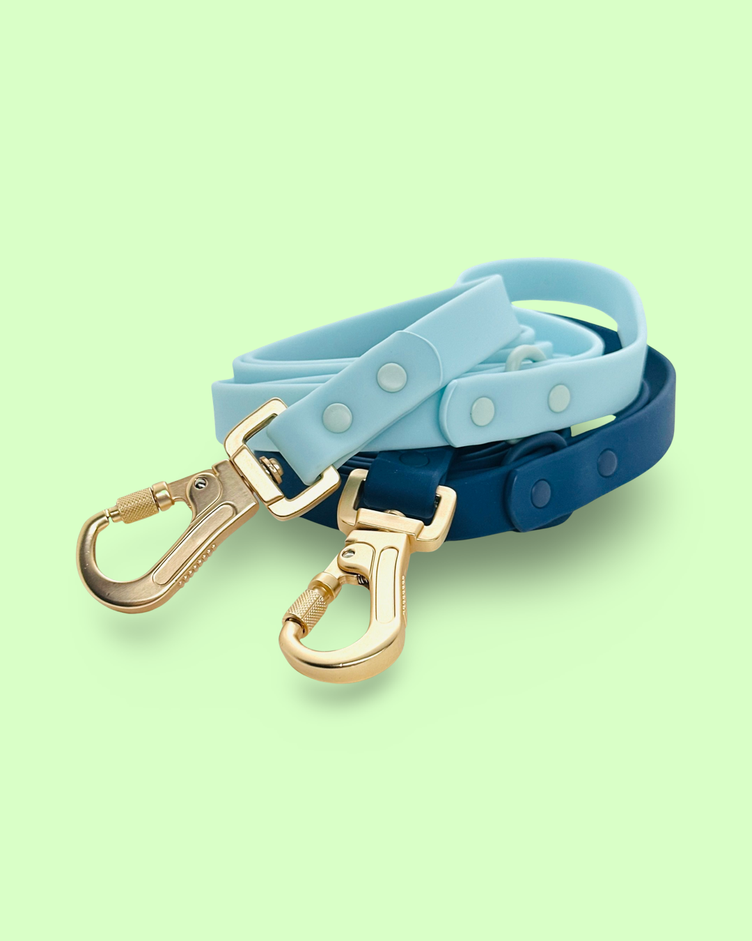 PVC Leash