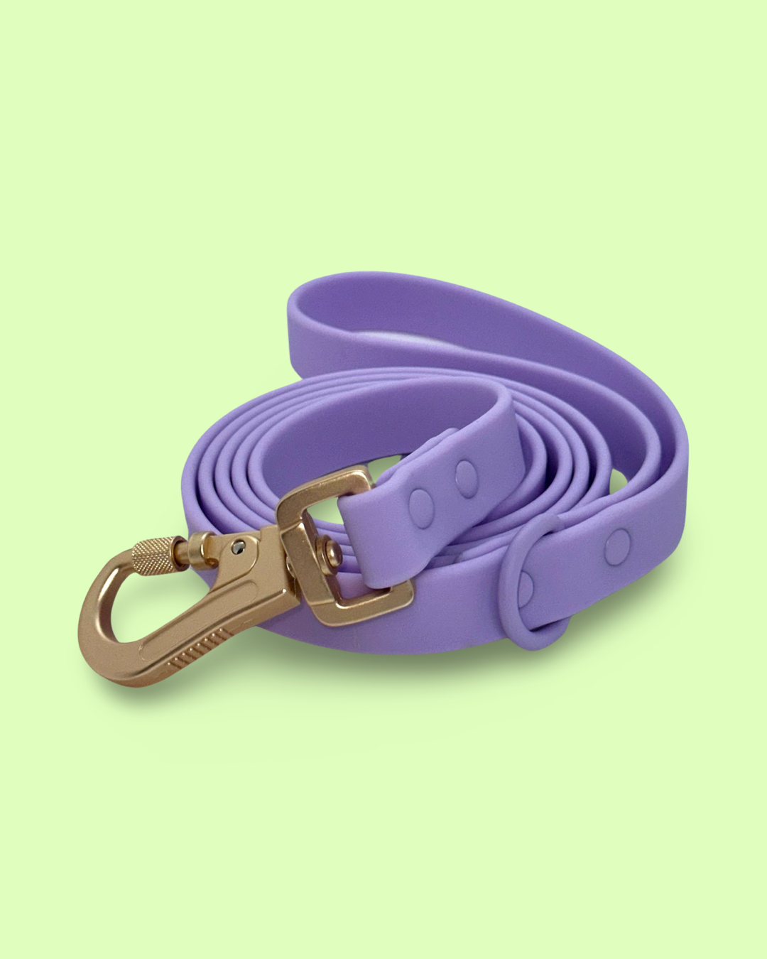 PVC Leash