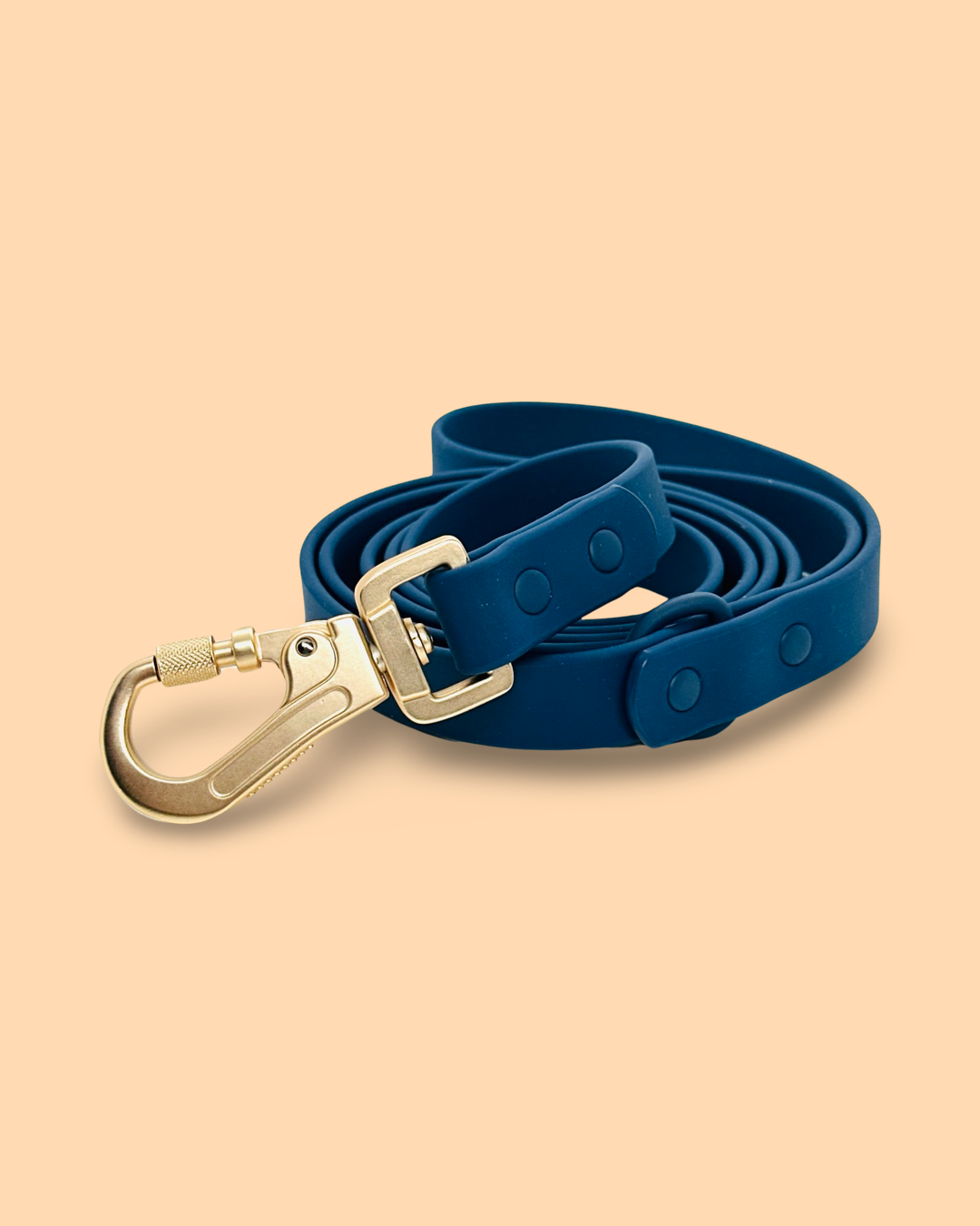 PVC Leash