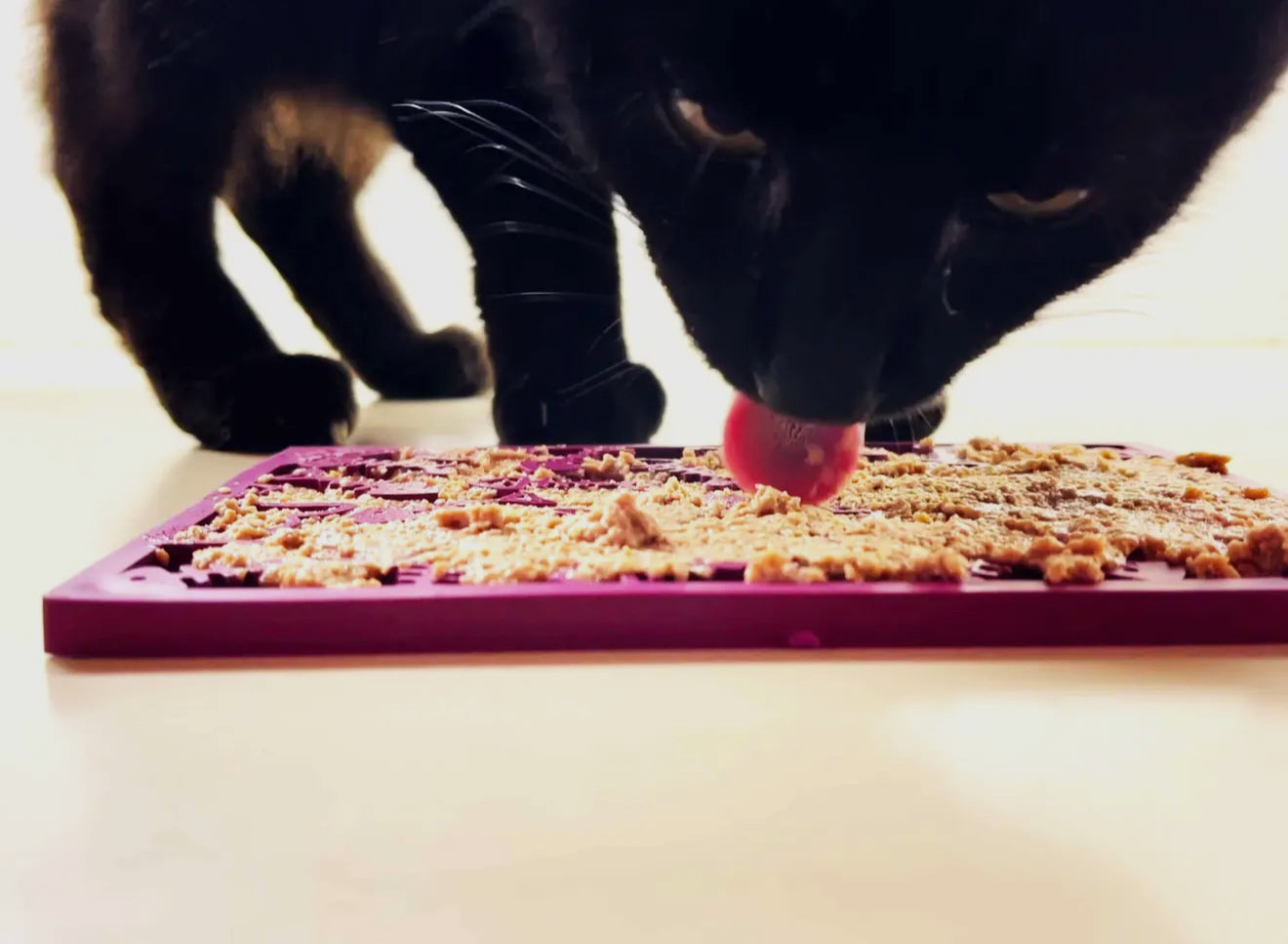 Fish Lick Mat