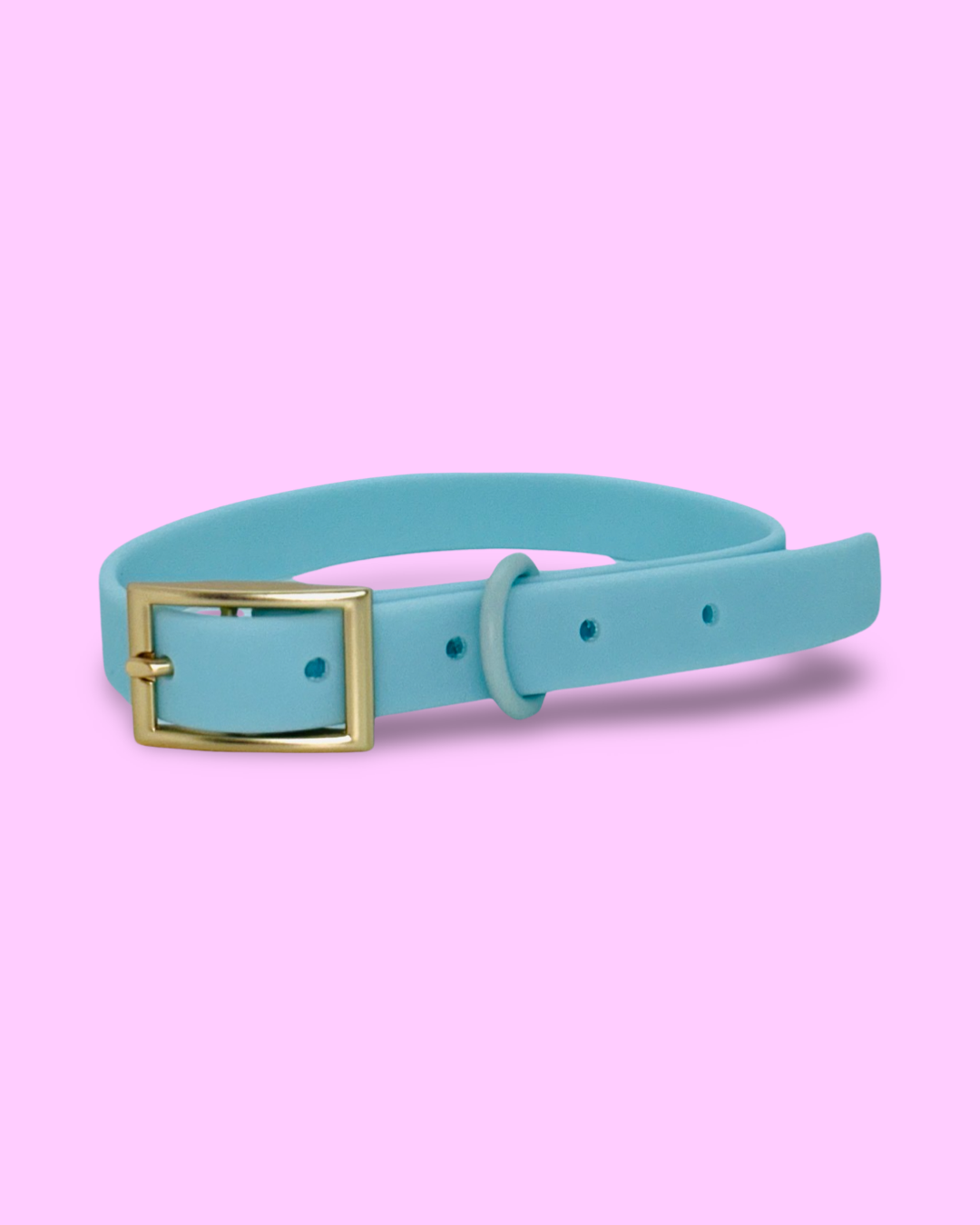 PVC Dog Collar