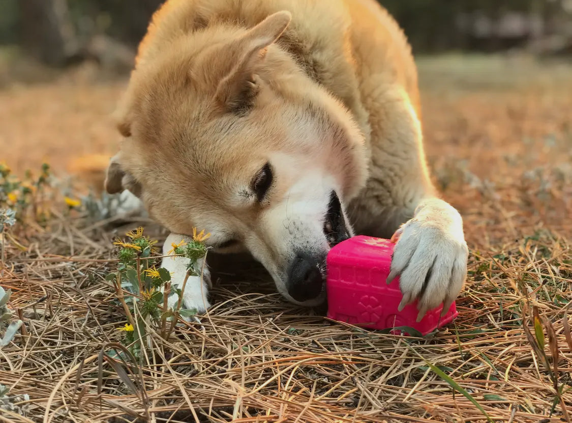 Retro Van Chew Toy