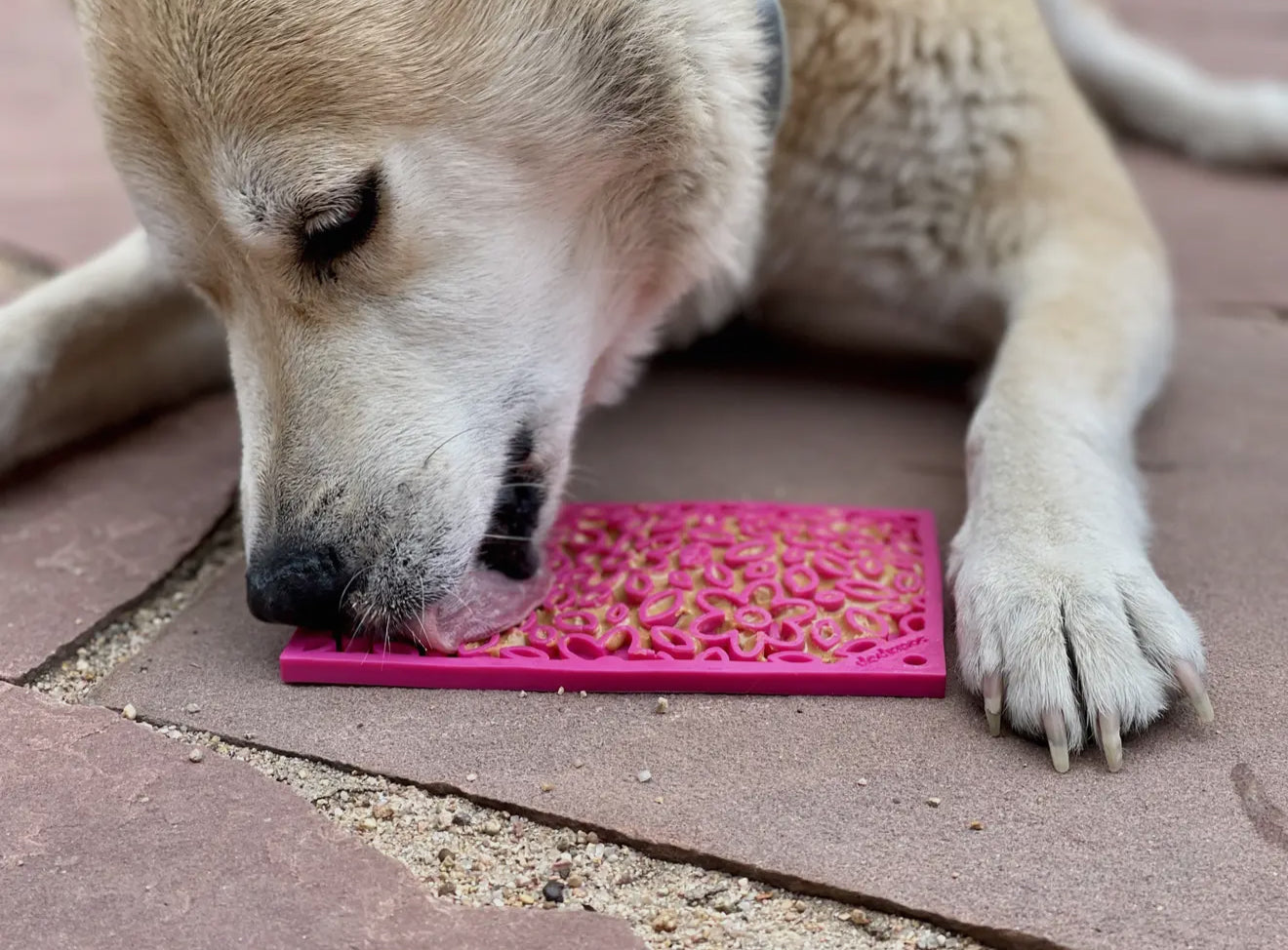 Flower Lick Mat