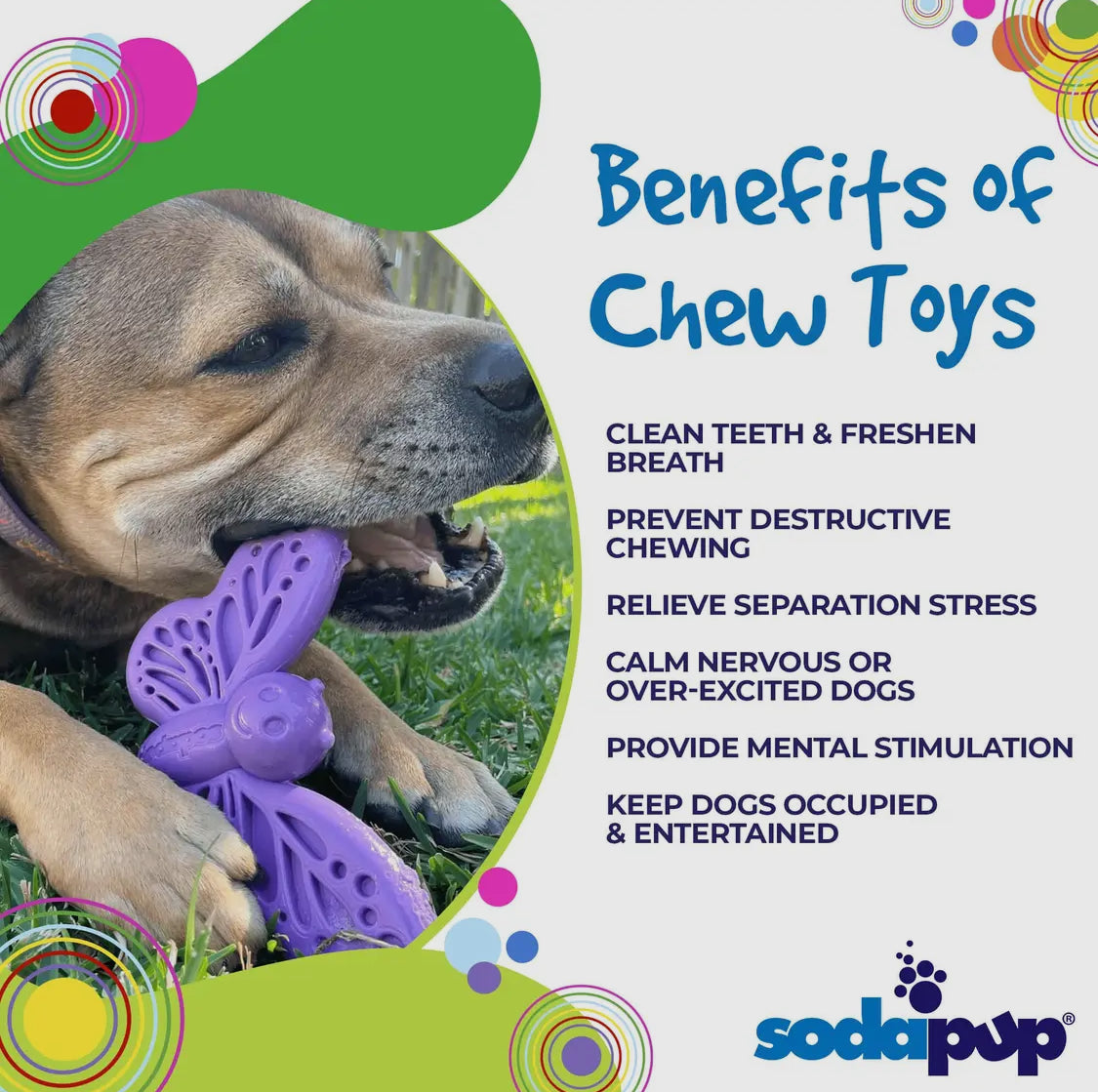 Butterfly Chew Toy