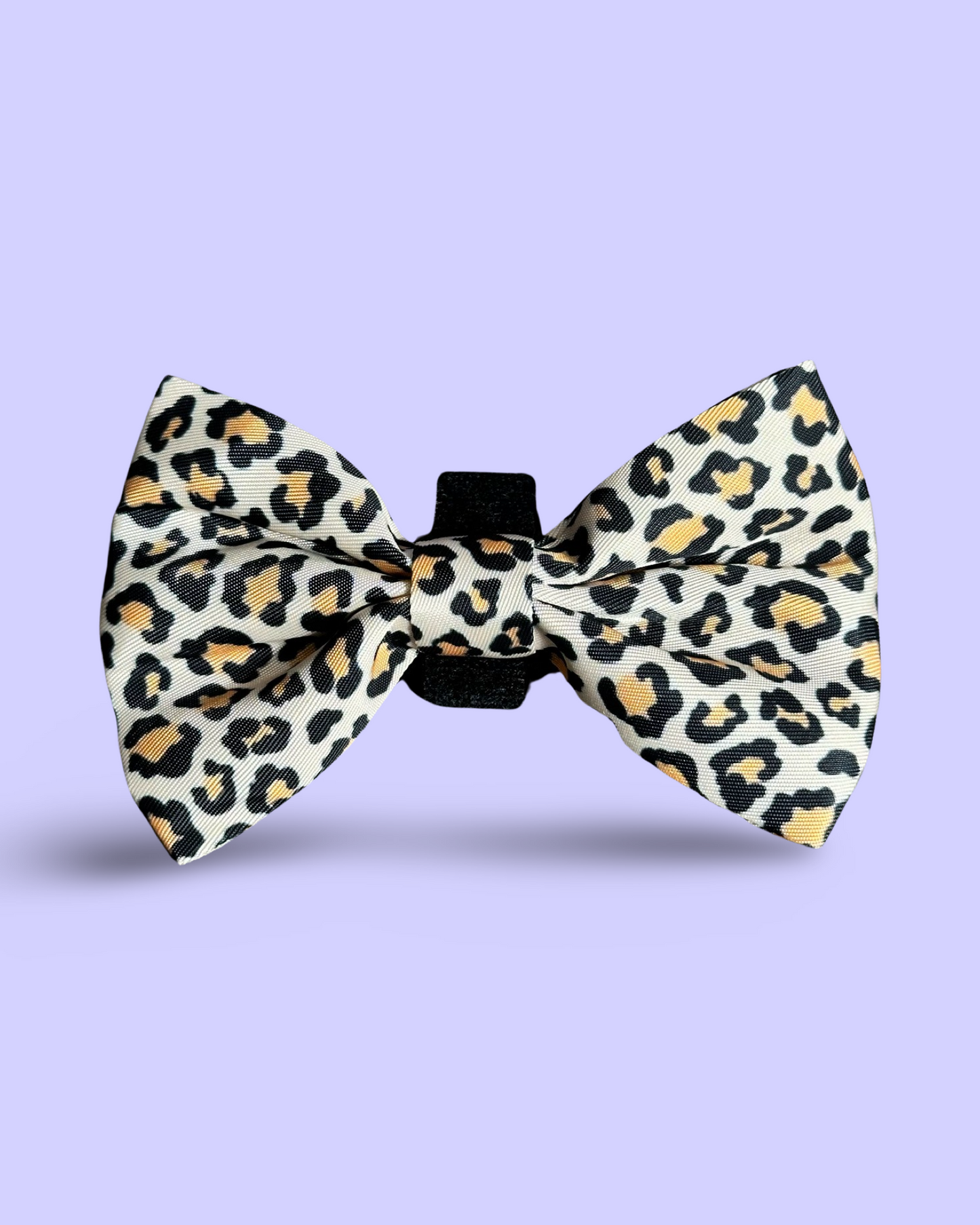 Collar Bow Tie