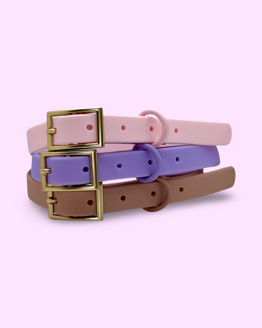 PVC Dog Collar