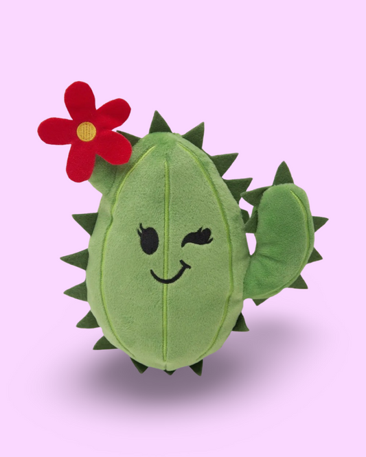 Chloe the Cactus Toy